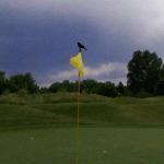 Dibella's Old Fashioned Submarines